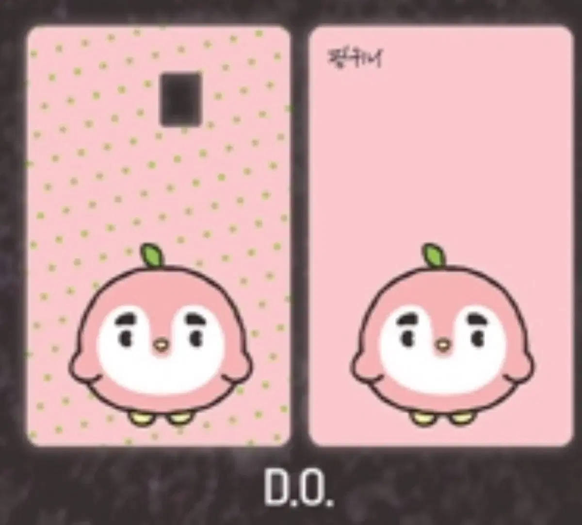 EXO 엑소 디오 도경수 핑귀니 카드 커버스티커 카드스티커 양도